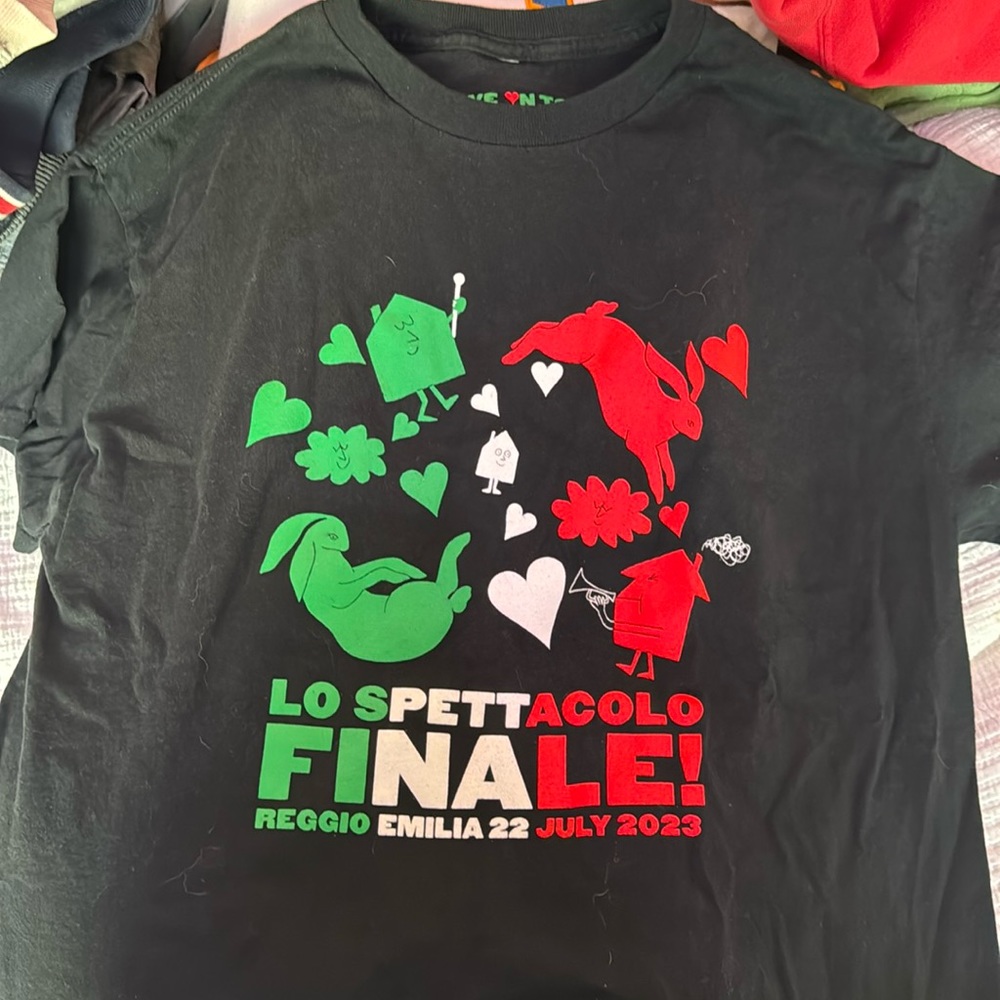 Harry Styles Concert Tshirt